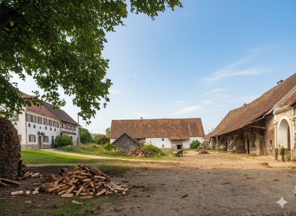Alte Ortsansichten - Treherz